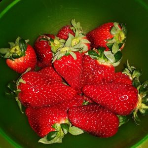 fragole