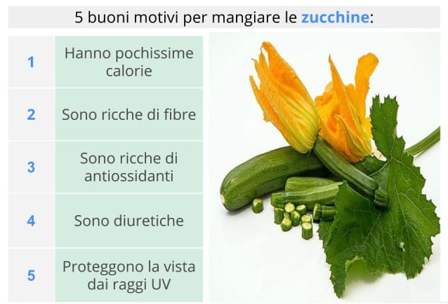 proprietà zucchine