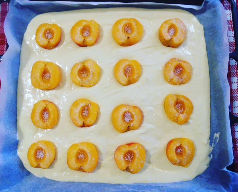 Soffice torta con albicocche senza glutine