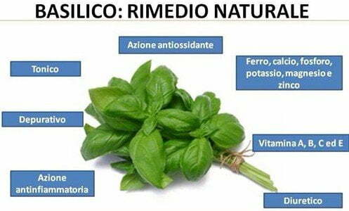 basilico proprietà
