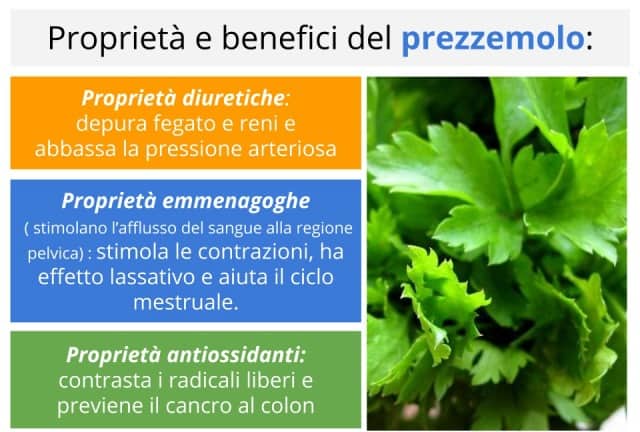 Pesto di prezzemolo Bimby 2 prezzemolo proprietà