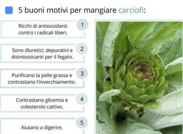 Risotto ai carciofi Bimby 2 Proprietà carciofi