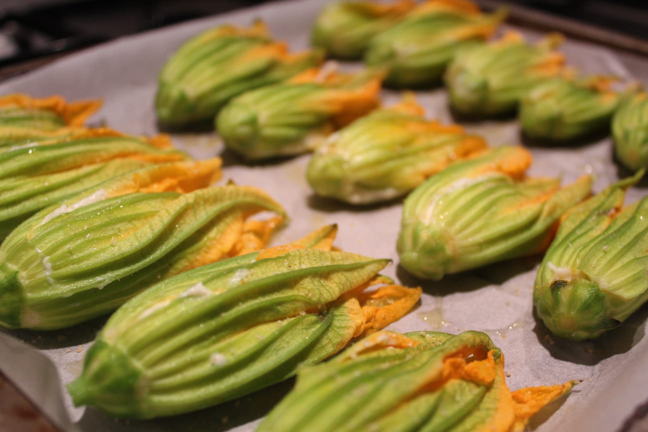 Fiori di zucca ripieni