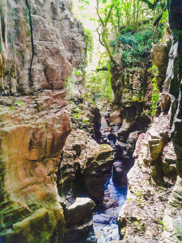 Lo spettacolo della natura Morigerati min