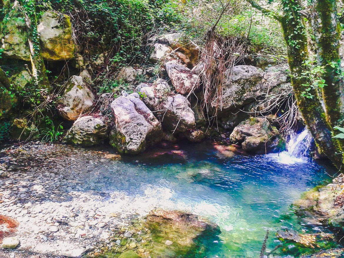 Oasi WWF nel Cilento