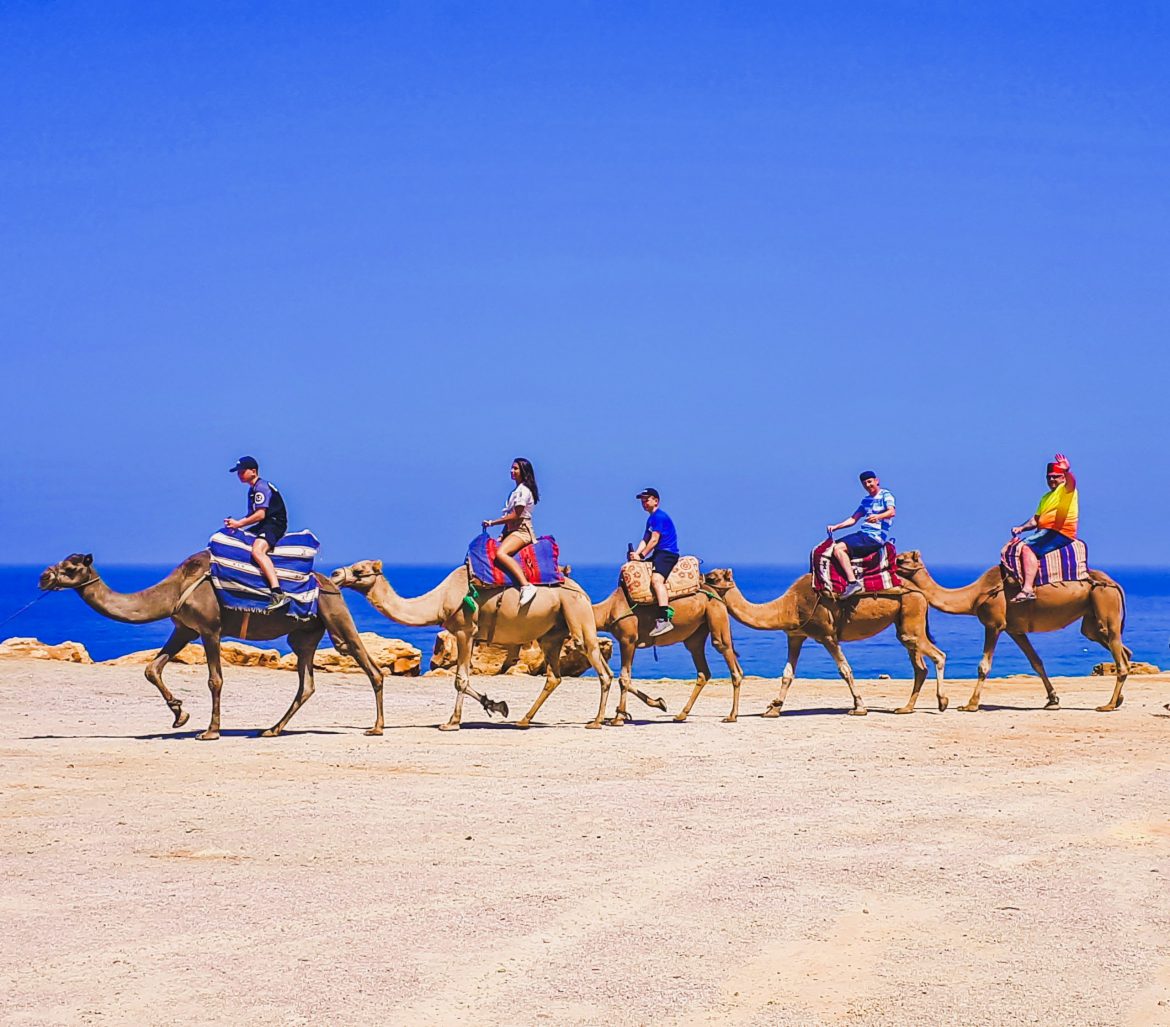 Sui dromedari vicino Tangeri