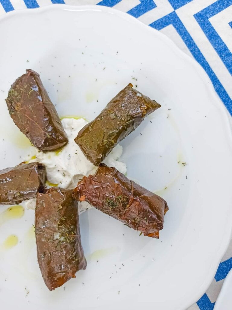 Imola cosa vedere e dove mangiare senza glutine 11 Ladi Ke Rigani ristorante greco a Imola, Tipico piatto della cucina greca